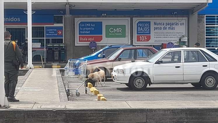 Novena alarma descartada por paquete sospechoso en Cúcuta