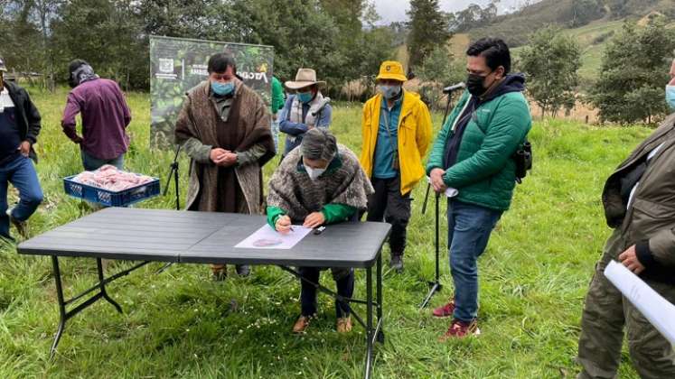 Empezaron los pagos por cada hectárea conservada en Bogotá./Foto: Colprensa