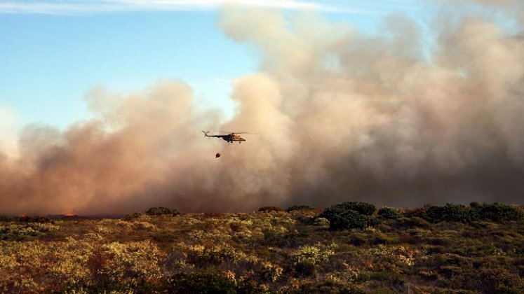 Incendios forestales