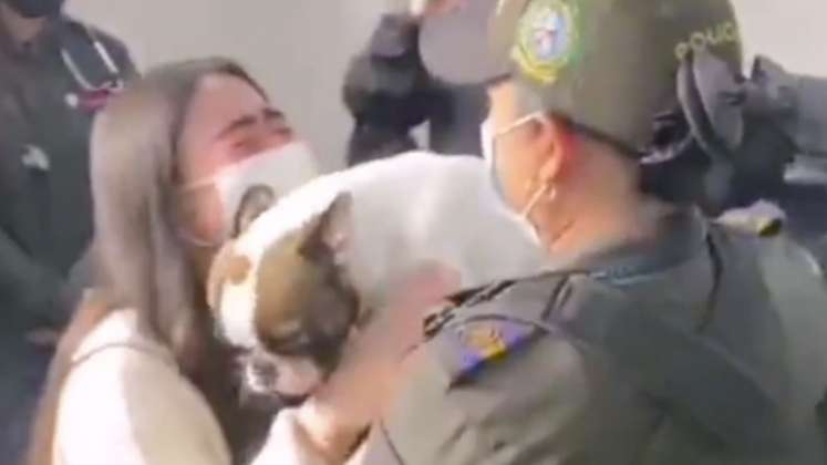 Así fue el conmovedor reencuentro entre perrita bulldog secuestrada y su dueña/La Opinión