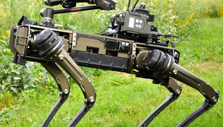 Perro robot