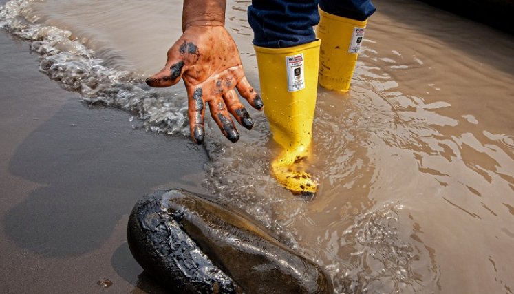 Fuga de petróleo vertió 6.300 barriles en Amazonia ecuatoriana./Foto: AFP