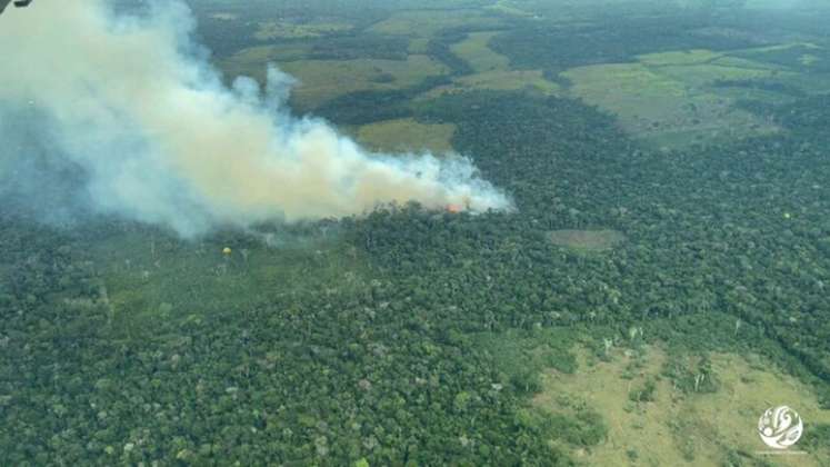 Enero registró el valor más alto de puntos de calor de los últimos 10 años para los biomas de la Amazonía. / Foto: Colprensa