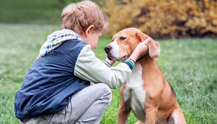 Los perros, aliados en la niñez y la vejez