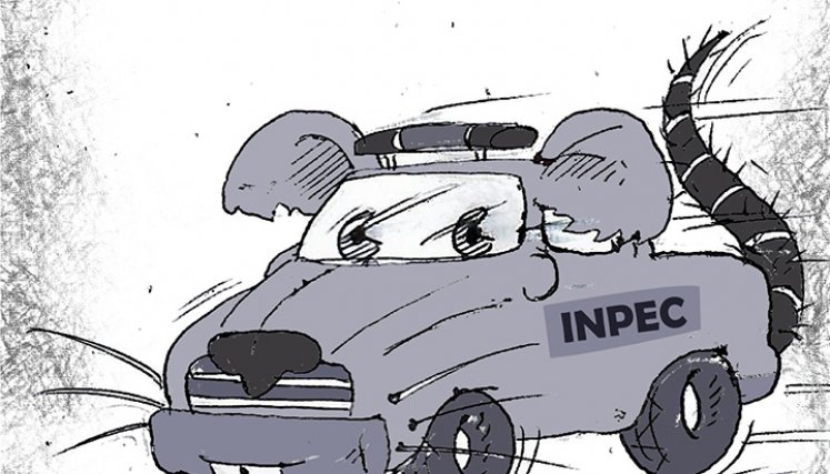 Caricatura @colombiatura