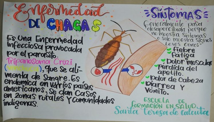 El mal de Chagas provoca alteraciones cardiacas.