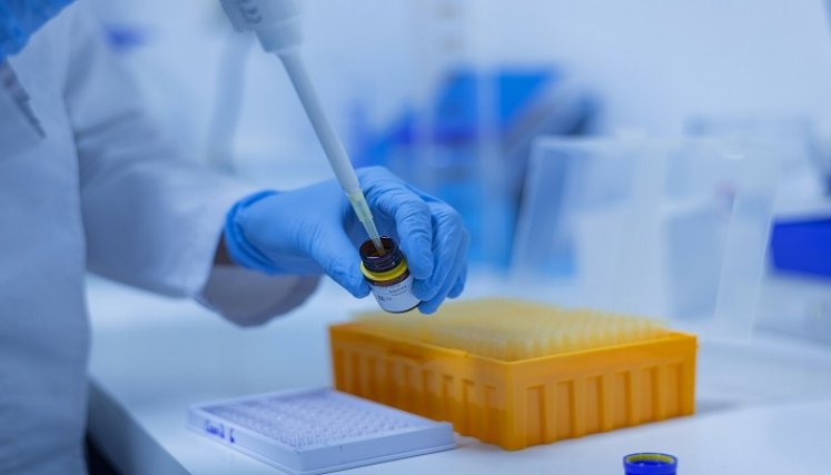 Laboratorio