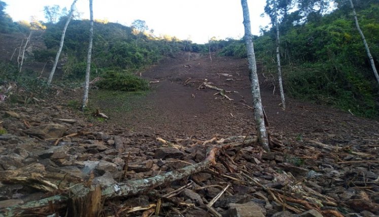 Los torrenciales aguaceros causan estragos en la zona del Catatumbo. Foto cortesía.