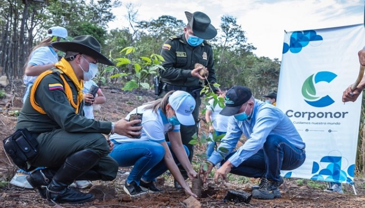 La siembra de árboles en Ocaña. / Foto: Cortesía / La Opinión 
