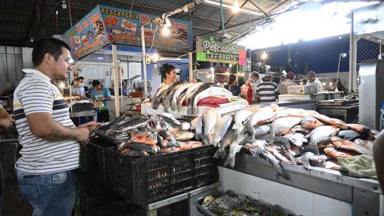 Venta de pescado en Cúcuta