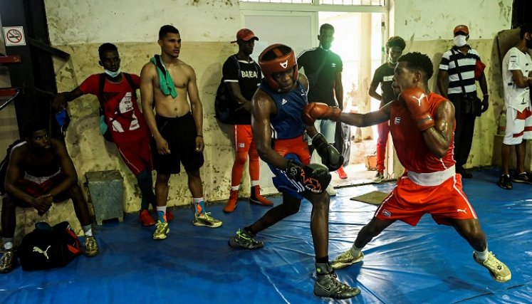 boxeador cubano