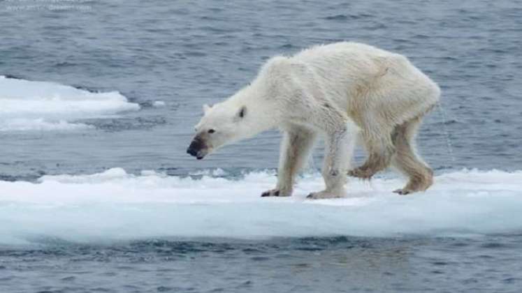 cambio climático