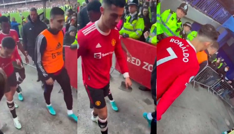 El 'bicho' no tuvo reparos en dañar el celular y seguir caminando tranquilamente