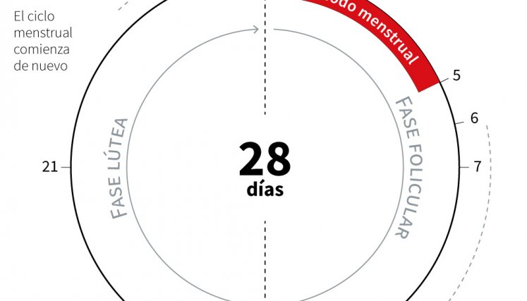 Ciclo menstrual. /Foto: AFP