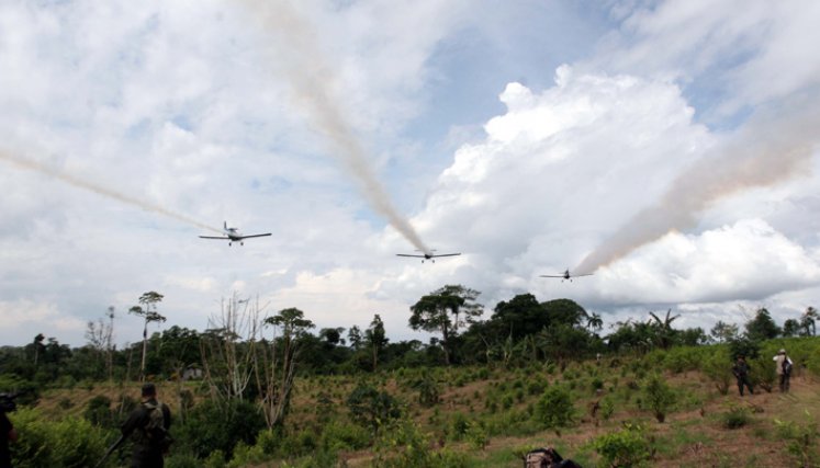 La Autoridad Nacional de Licencias Ambientales, ANLA, excluye a los municipios de Hacarí y San Calixto de los procesos de fumigación de cultivos ilícitos. / Foto: Cortesía / La Opinión 