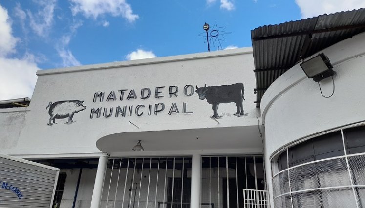 Matadero de San Cristóbal cada vez recibe menos ganado para el sacrificio. Foto Anggy Polanco / La Opinión 