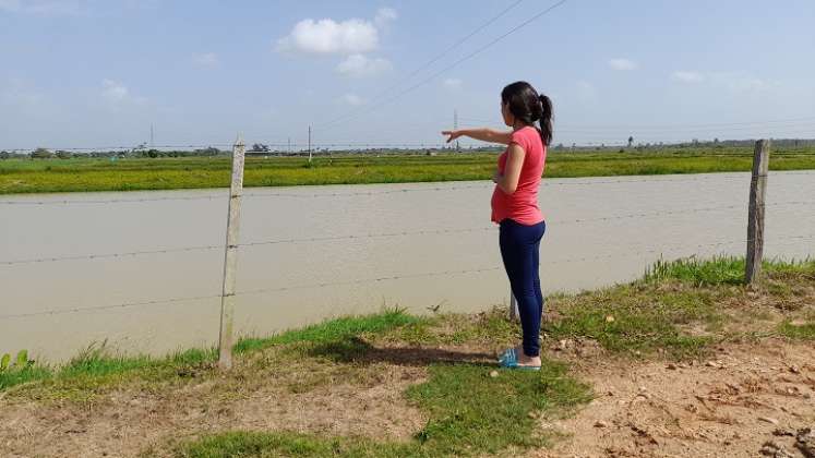 De 40 unidades producción que sacaban cachamas, solo están activas 10. Foto Anggy Polanco/ La Opinión 