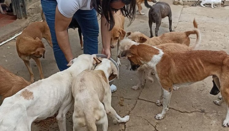 El concejal brinda ayuda a los animales desamparados. / Foto: Cortesía / La Opinión 