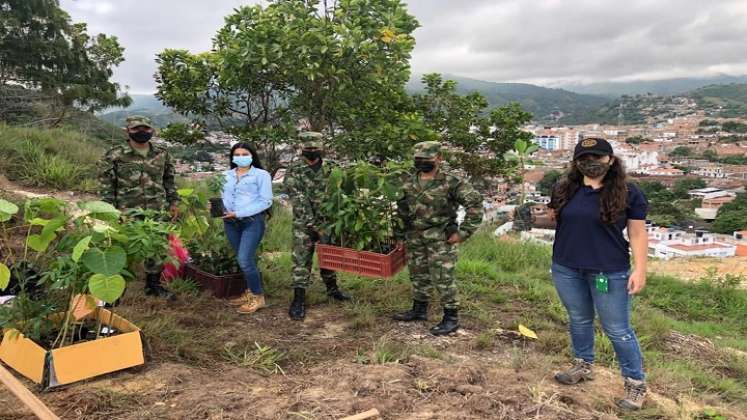 En Ocaña se promueve una campaña encaminada a fortalecer la silvicultura urbana con el fin de recuperar las zonas verdes. / Foto: Cortesía / La Opinión