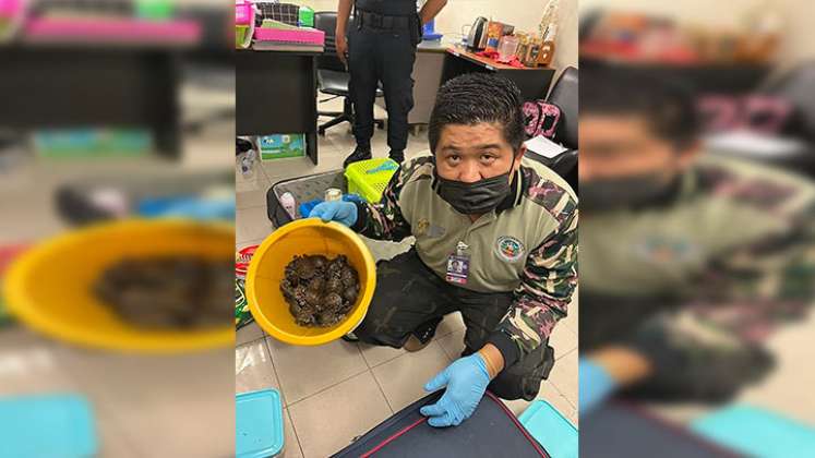 Detenidas dos mujeres en Tailandia con más de 100 animales vivos./Foto: AFP