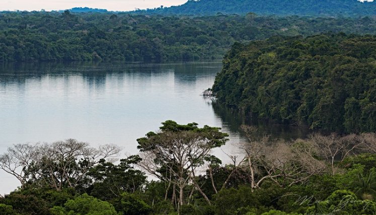 Río Vaupés