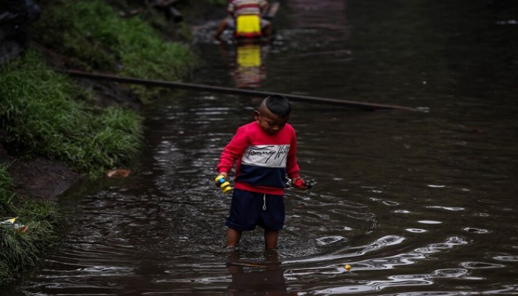 Parásitos invaden los órganos del ser humano 