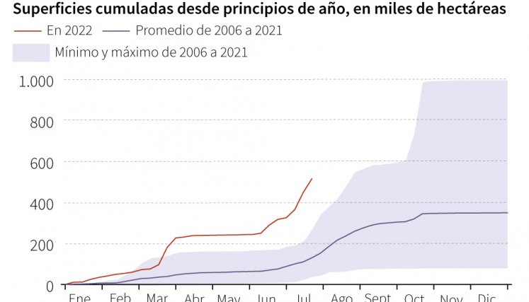 Incendios forestales. Gráfico: AFP