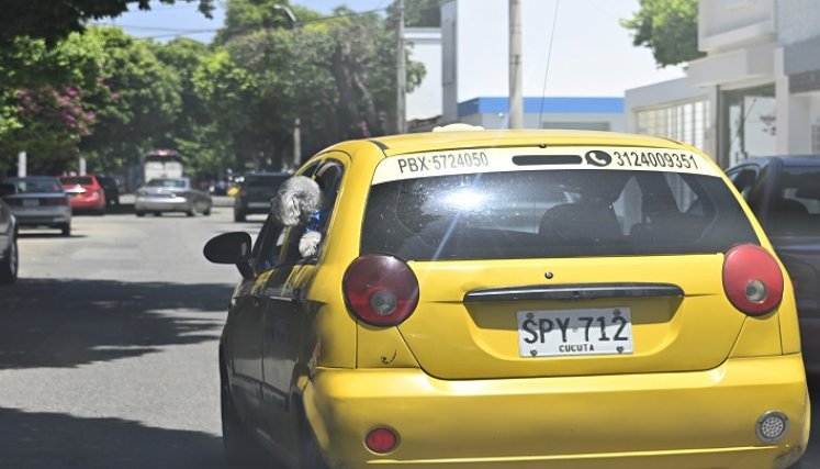 Mascotas se movilizarán de forma segura en el transporte público Conductores de la ciudad apoyan la creación de este acuerdo, señalando que los animales también son parte de la familia y merecen un trato digno. / Foto: Jorge Gutiérrez / La Opinión