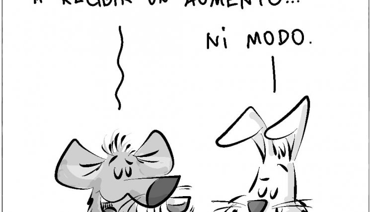 Excusas legislativas