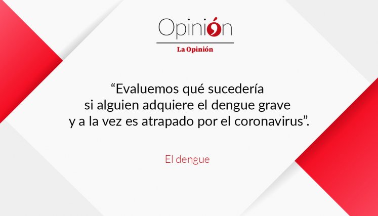 El dengue