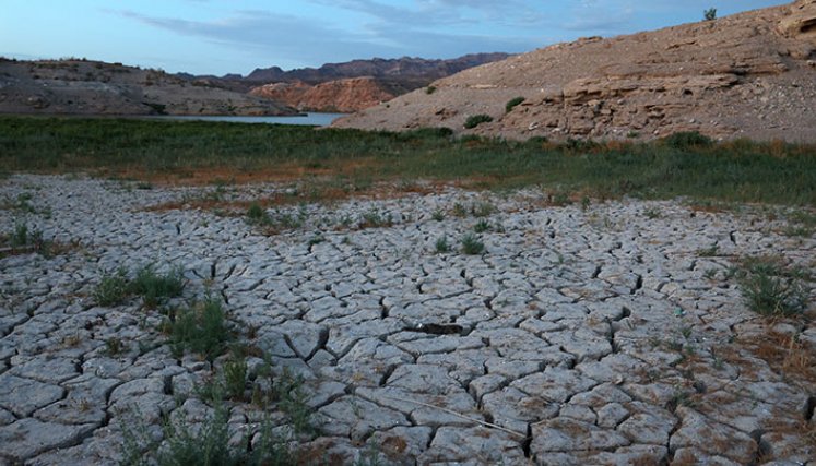Hacen mapas de islas de calor para impulsar la resiliencia climática./Foto: AFP