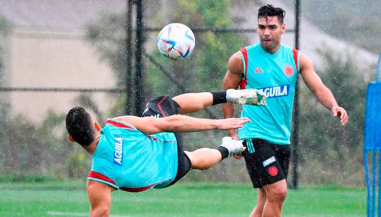 seleccion