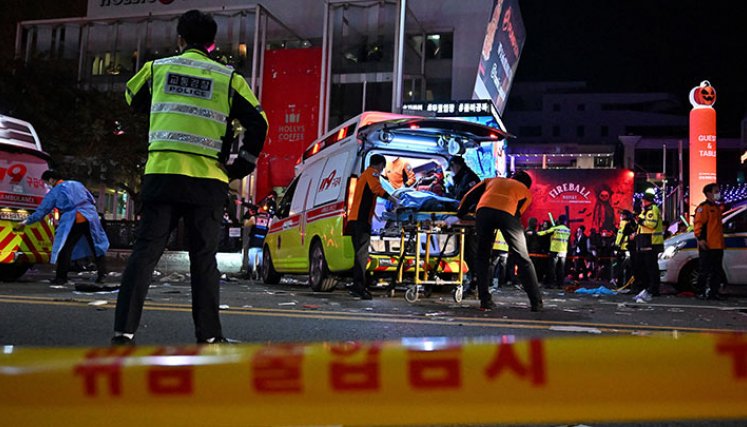 Estampida en Corea del Sur. 