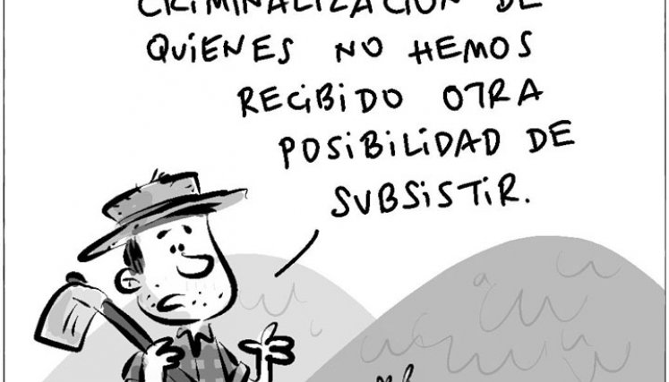 Erradicación forzada