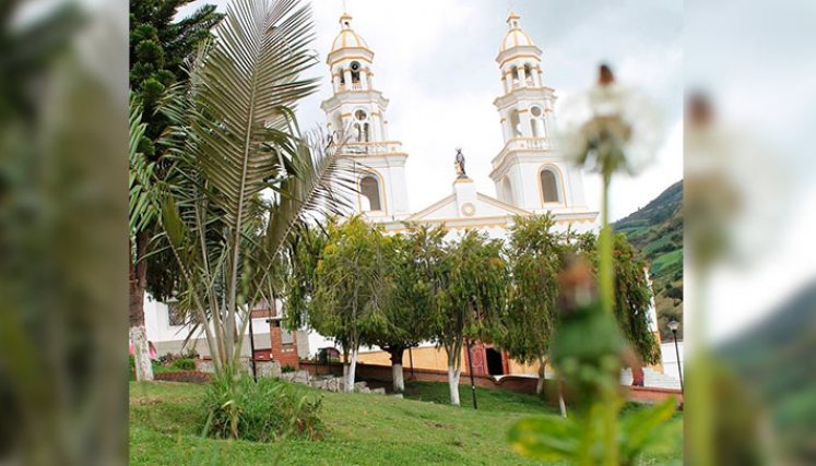 mutiscua