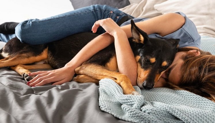 ¡Ojo al amor excesivo  por su mascota!