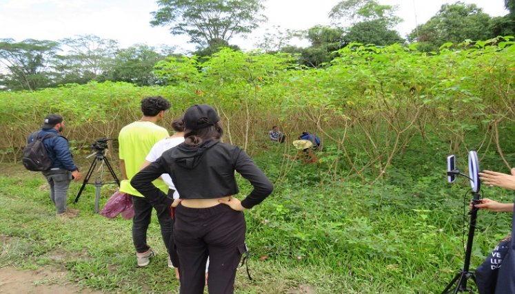 Jóvenes del Catatumbo reciben charlas y capacitaciones para que se queden en la región y preserven los cultivos lícitos.