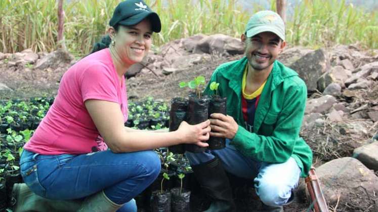 El café evoluciona de manera positiva