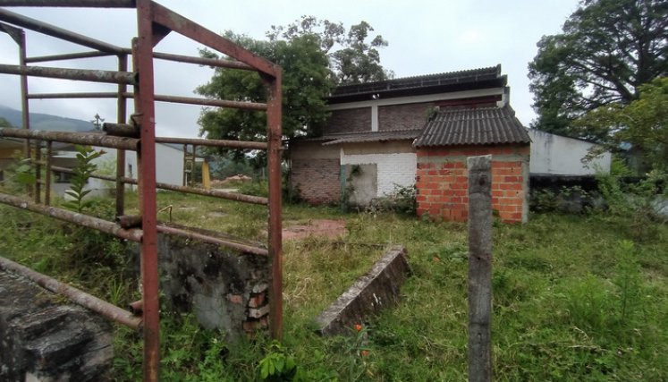 Matadero en Chinácota