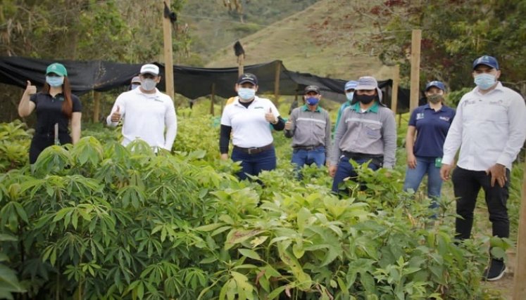 El Instituto Colombiano Agropecuario, ICA, entrega el registro para la producción de material forestal al vivero El Edén del corregimiento de Buenavista, comprensión rural del municipio de Ocaña.