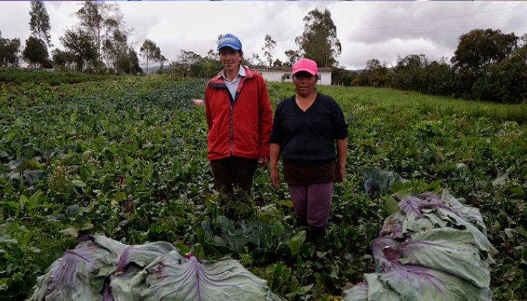 Contactar tiene una cobertura rural del 80%. / Foto Cortesía