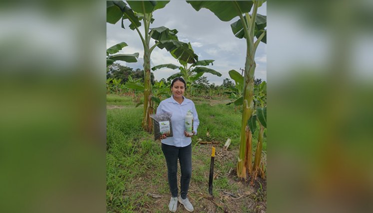 Yolima Villamizar Suárez, se siente orgullosa de trabajar del fruto de su tierra: Chitagá./Foto: cortesía