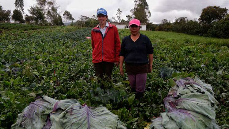 el Gobierno anunció una rebaja en las tasas de interés en las líneas de Pequeño Productor, Mujer Rural, Joven Rural y Agrolisto. / Foto: Archivo