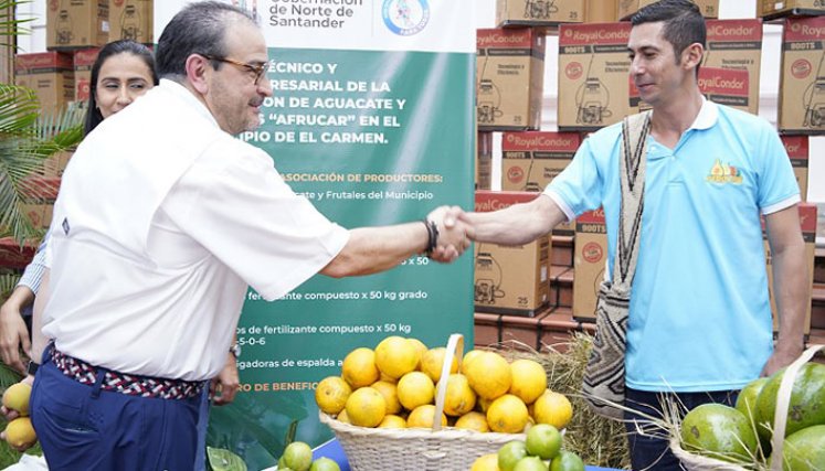 El campo de Norte de Santander se beneficia de II fase de Alianzas Productivas./Foto: cortesía