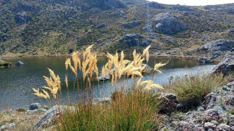 Resultados positivos en cultura ambiental sostenible 