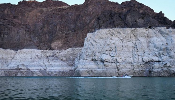 Comer un pescado de río en Estados Unidos equivale a beber agua contaminada durante un mes, según estudio