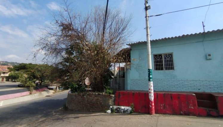 Pareja de adultos mayores denuncia la quema de su árbol