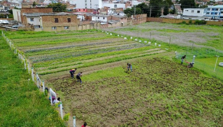 La institución cuenta con 66 años de trayectoria. / Foto: Cortesía / La Opinión 
