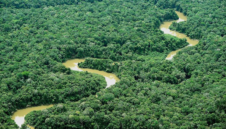 Mercurio: el veneno oculto que asusta a Colombia