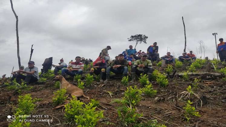 Un desplazamiento silencioso se registra en la zona del Catatumbo debido a la seguridad alimentaria.